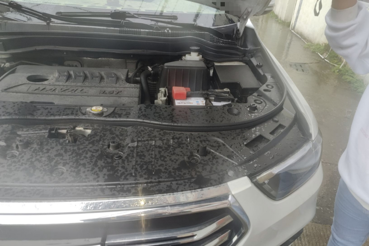 哈弗H6 2021款 运动版 1.5T 自动精英智联型 六边形格栅局部细节9007