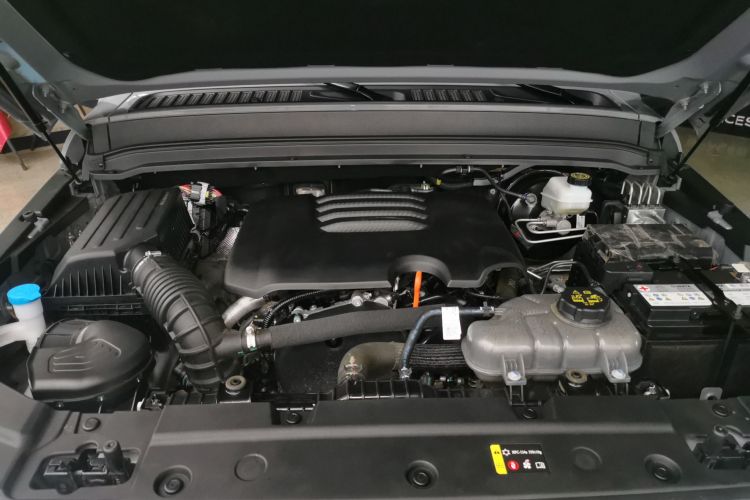 坦克300 2024款 2.0T 征服者机舱底盘24