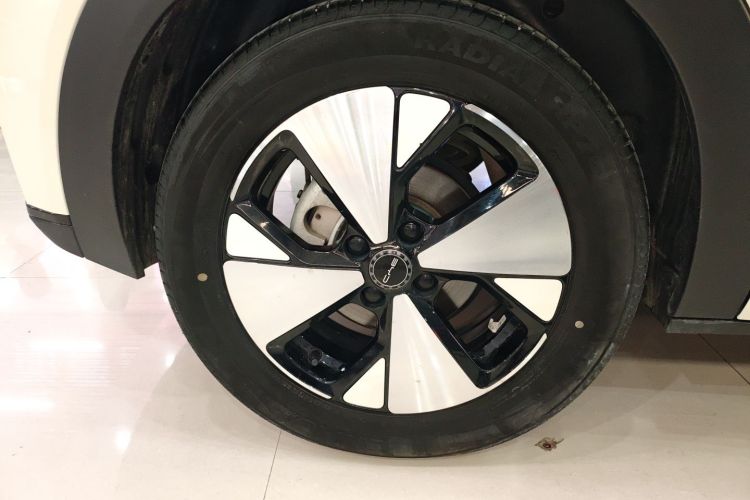 比亚迪 海豚 2023款 420km 时尚版车身外观6008