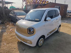 奔腾小马 2025款 222km 灵动马