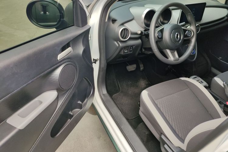 欧拉黑猫 2021款 301km 基础型中控内饰20