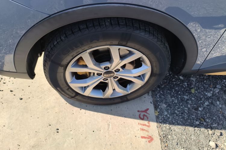 哈弗H6 2021款 国潮版 1.5T 自动冠军版车身外观6007