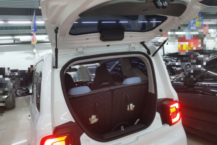 吉利银河 2024款 熊猫mini 200km 耐力熊局部细节23