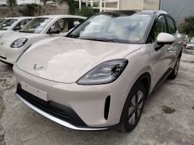 五菱汽车 缤果S 2025款 325km 尊享款