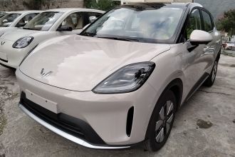 五菱汽车 缤果S 2025款 325km 尊享款