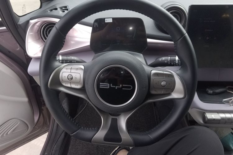 比亚迪 海豚 2023款 420km 时尚版局部细节13