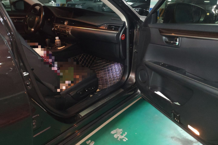 雷克萨斯ES 2014款 250 典雅版局部细节9005