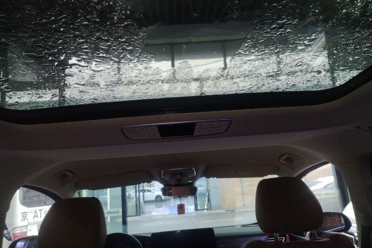 红旗HQ9 2024款 2.0T 商务版局部细节22