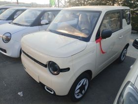 吉利银河 熊猫 2025款 210km 元气熊