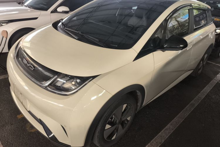 比亚迪 海豚 2023款 420km 时尚版车身外观6003