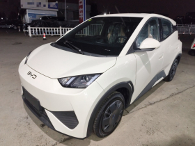 比亚迪 海鸥 2025款 智驾版 305km 活力版