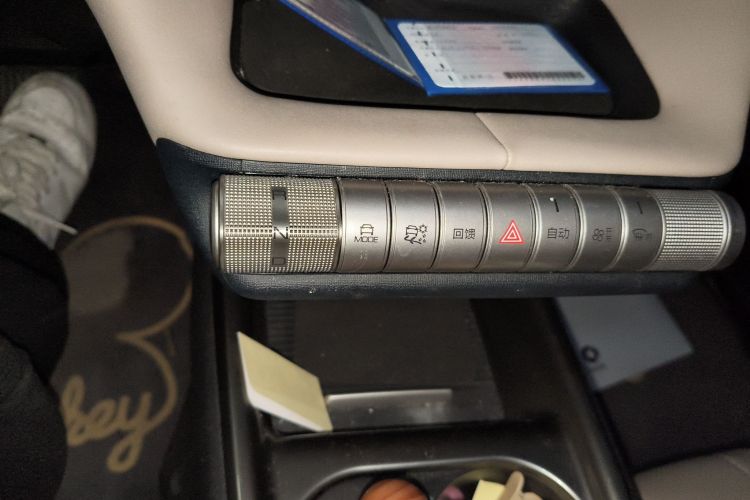 比亚迪 海豚 2023款 420km 自由版中控内饰18