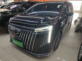 广汽传祺 传祺M8 2024款 大师系列 400T 尊贵版