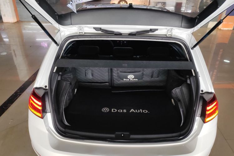 大众 高尔夫 2019款 1.6L 自动舒适型 国V局部细节23