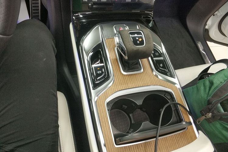 红旗E-HS9 2022款 660km 旗领版 四座局部细节18