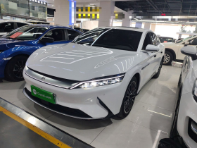 比亚迪 汉 2021款 EV 标准续航版豪华型