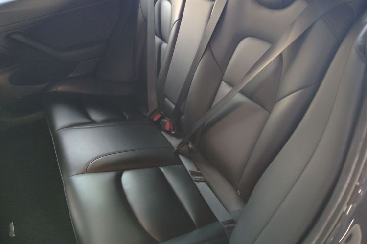 特斯拉 Model 3 2020款 改款 标准续航后驱升级版中控内饰21