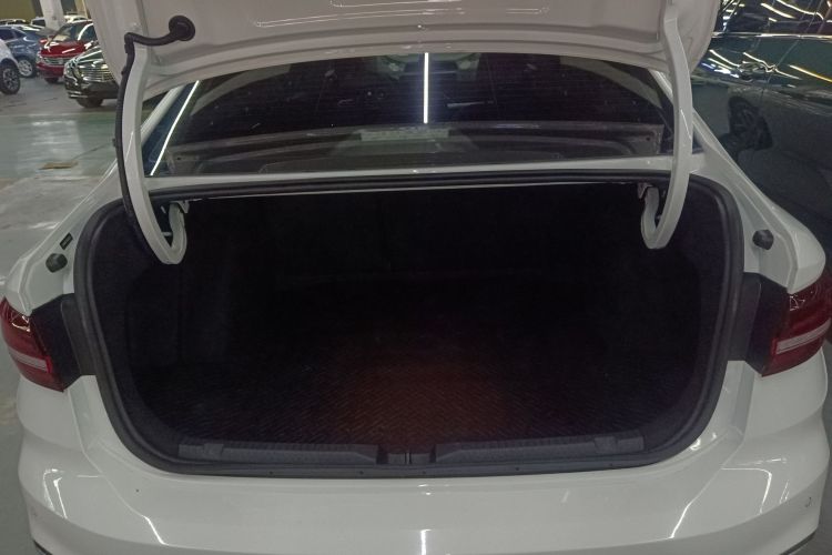 大众 朗逸 2024款 300TSI DSG星空领先版局部细节23