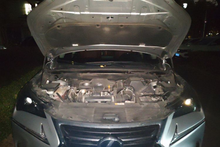 雷克萨斯NX 2015款 200t 全驱 锋尚版局部细节24