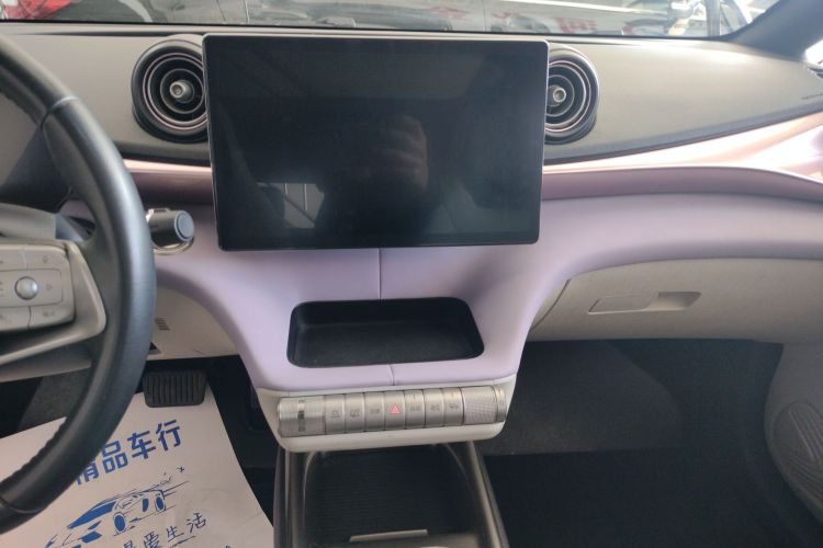 比亚迪 海豚 2021款 401km 骑士版中控内饰16