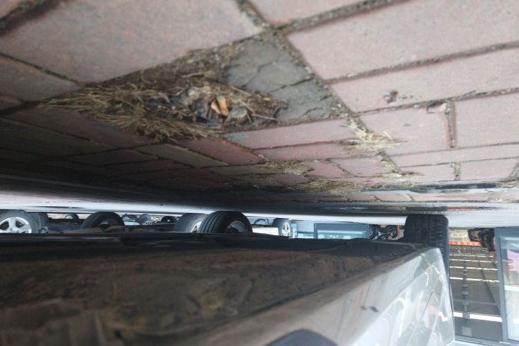 宝马5系 2020款 530Li 尊享型 豪华套装局部细节9001