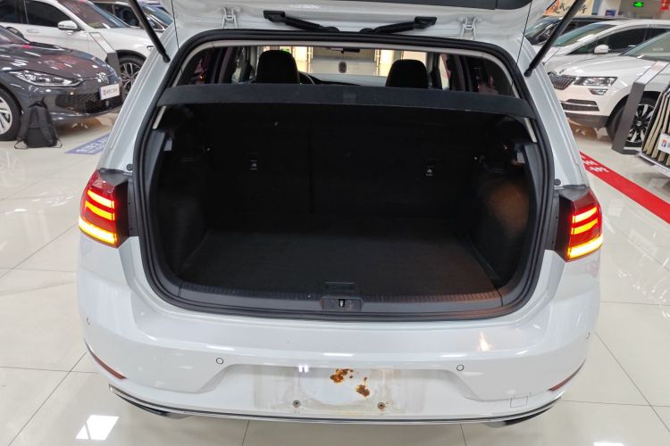 大众 高尔夫 2018款 230TSI 自动舒适型机舱底盘23