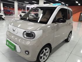 五菱汽车 宏光MINIEV 2024款 第三代 215km 进阶版
