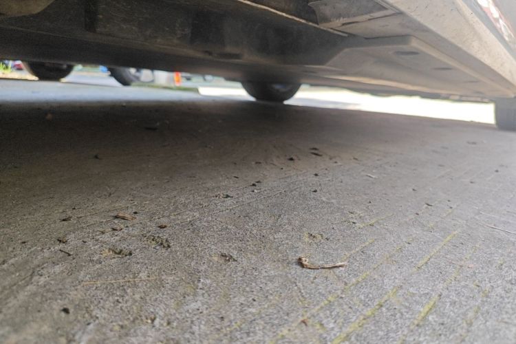 比亚迪 秦PLUS 2021款 EV 500KM 豪华型局部细节9002