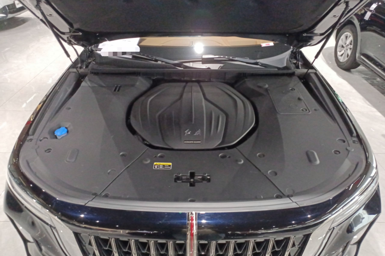 红旗H9 2024款 2.0T 旗畅 私享风尚版机舱底盘24