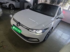 大众 高尔夫 2021款 280TSI DSG Pro