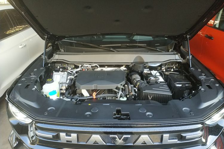 哈弗大狗 PLUS 2026款 2.0T 四驱潮野版局部细节24