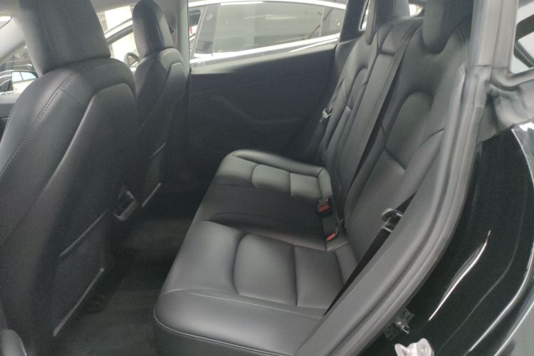 特斯拉 Model 3(进口) 2019款 长续航全轮驱动版中控内饰21