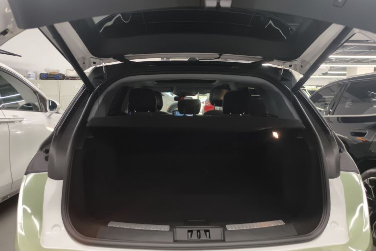 林肯 冒险家新能源 2021款 PHEV 四驱e享版局部细节23