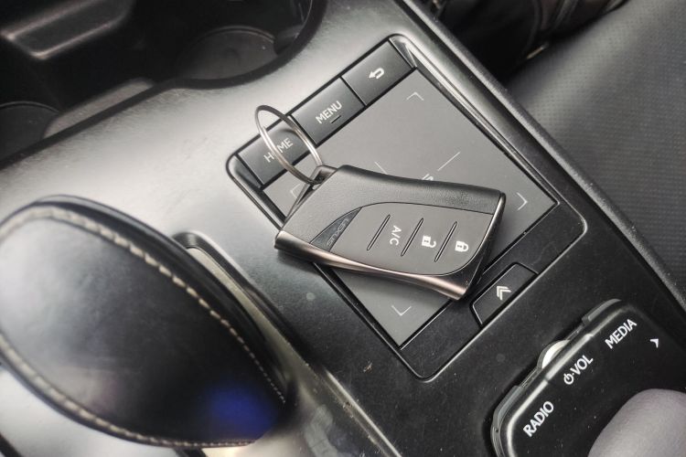 雷克萨斯UX新能源 2020款 300e 纯·悦版中控内饰7001