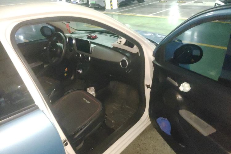 欧拉黑猫 2021款 351km 标准型局部细节9005