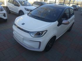 思皓 花仙子 2021款 302km 时尚型 31.4kWh