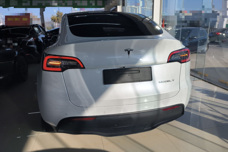 特斯拉 Model Y 2022款 改款 长续航全轮驱动版车身外观6004