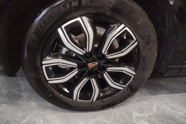 红旗HQ9 2024款 2.0T 商务版车身外观6008