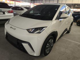 比亚迪 海鸥 2023款 活力版