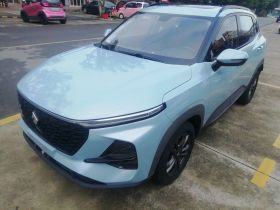 宝骏RS-3 2020款 1.5L 手动24小时在线豪华型