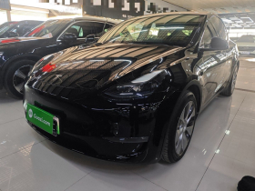 特斯拉 Model Y 2021款 标准续航后驱版
