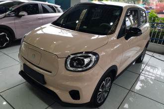 零跑汽车 零跑T03 2024款 310舒享版