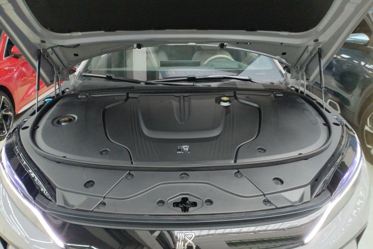 比亚迪 汉 2025款 EV 701KM激光雷达智驾型局部细节24