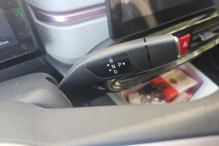 思皓 2022款 花仙子款 四叶草局部细节18