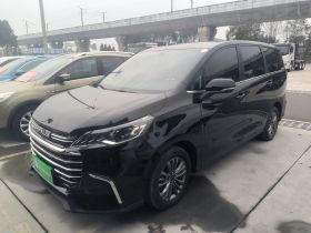 上汽大通MAXUS 大通G50 2021款 1.5T 自动畅游B