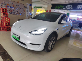 特斯拉 Model Y 2022款 长续航全轮驱动版