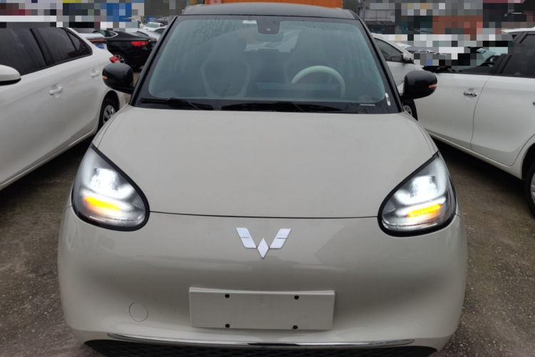 五菱汽车 五菱缤果 2023款 333km 悦享+款车身外观2