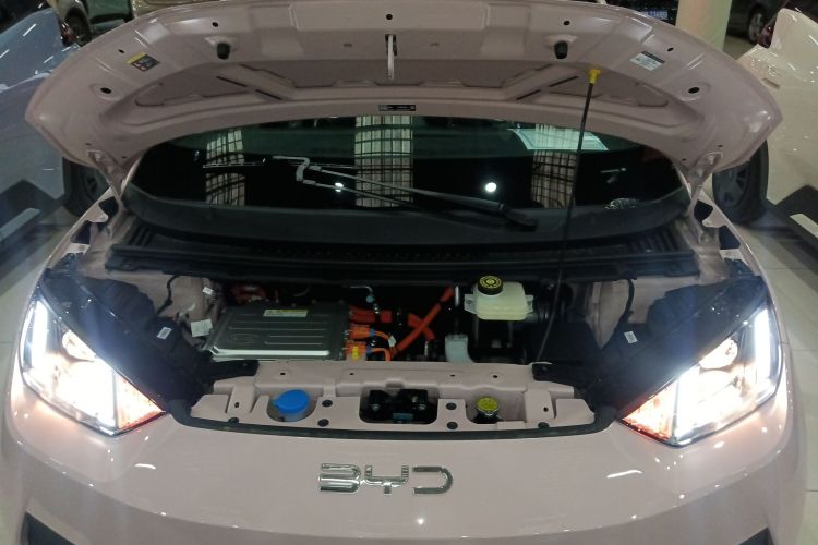 比亚迪 海鸥 2025款 智驾版 305km 活力版机舱底盘24