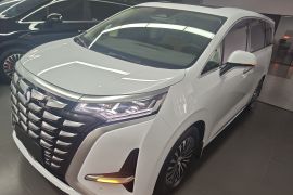 腾势D9 2024款 DM-i 980 四驱尊贵型