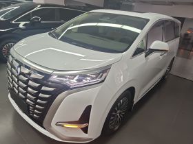 腾势D9 2024款 DM-i 980 四驱尊贵型